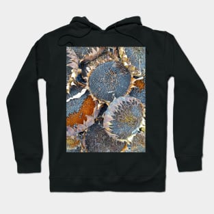 Sunflower Seeds by Avril Thomas at Magpie Springs Hoodie